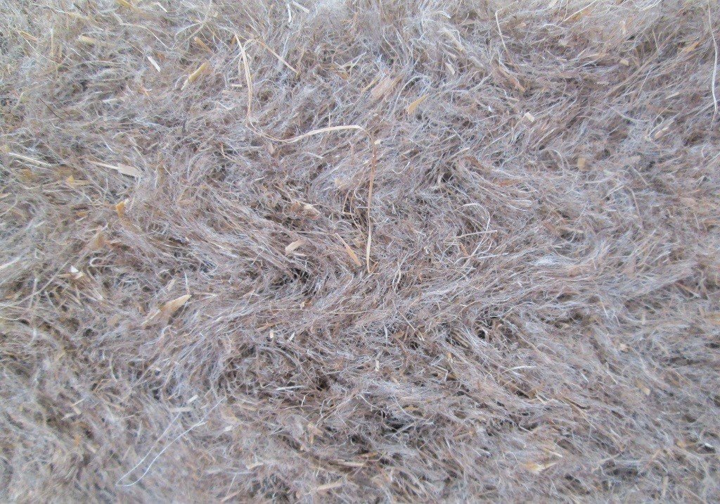 flax-7.jpg