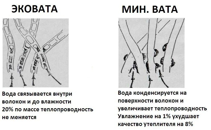 Капиляры.jpg