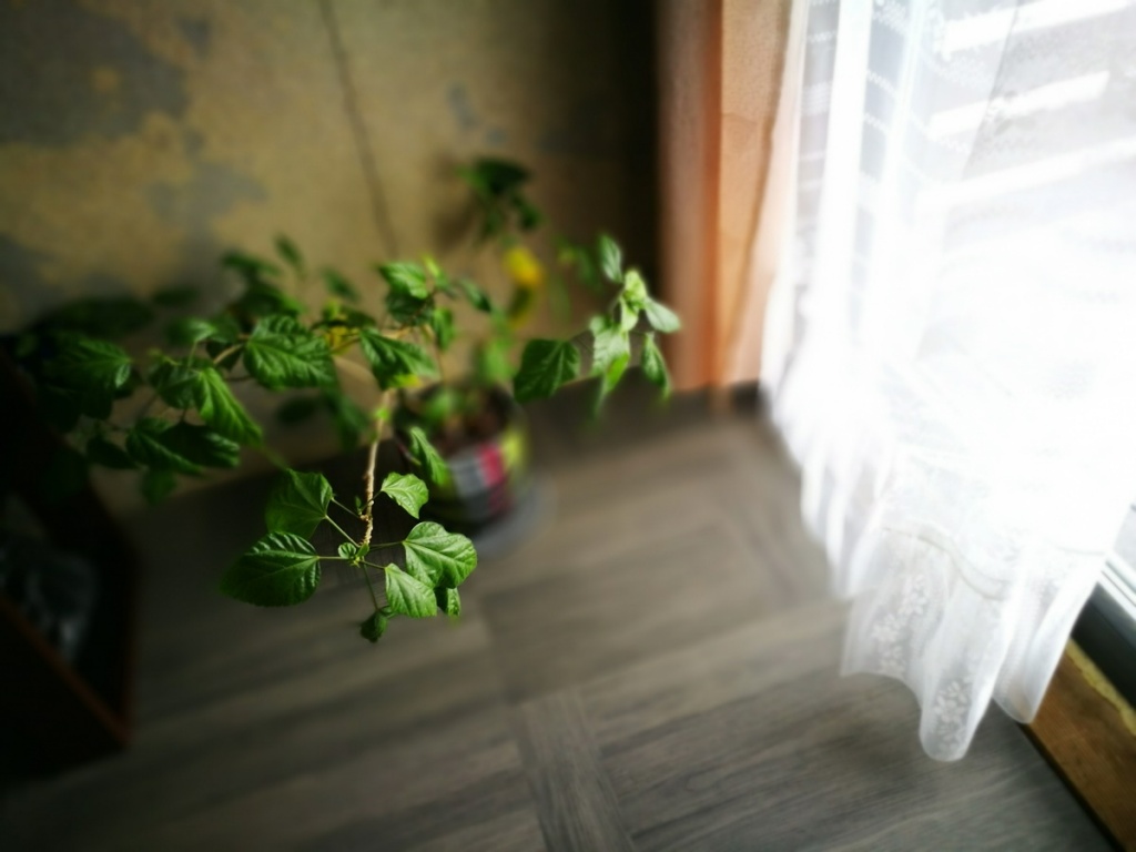foto17.jpg foto17.jpg